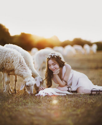 Sao Việt cũng mê mẩn những em cừu ở Đồi Cừu Suối Nghệ